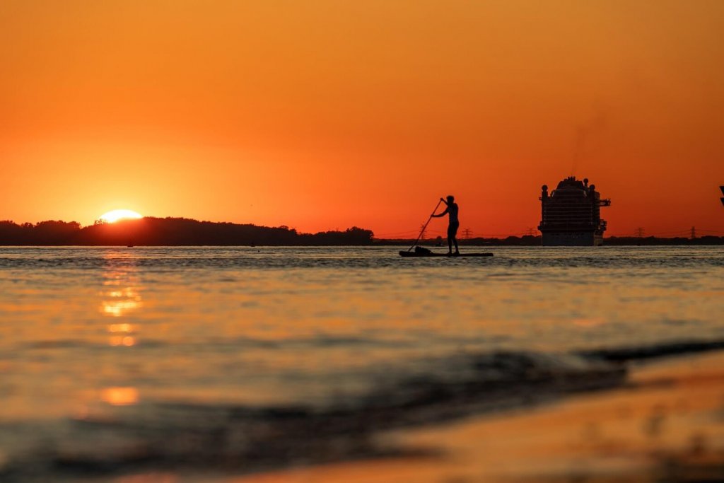 Stand Up Paddle Board